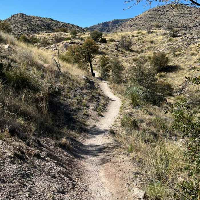 Near Molino Basin Trail #11