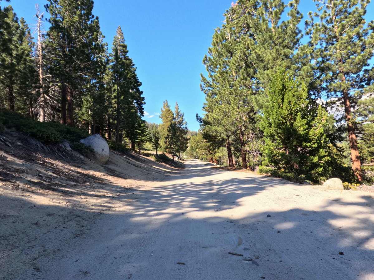 Horse Meadows Rd - FS 31051 photo 5