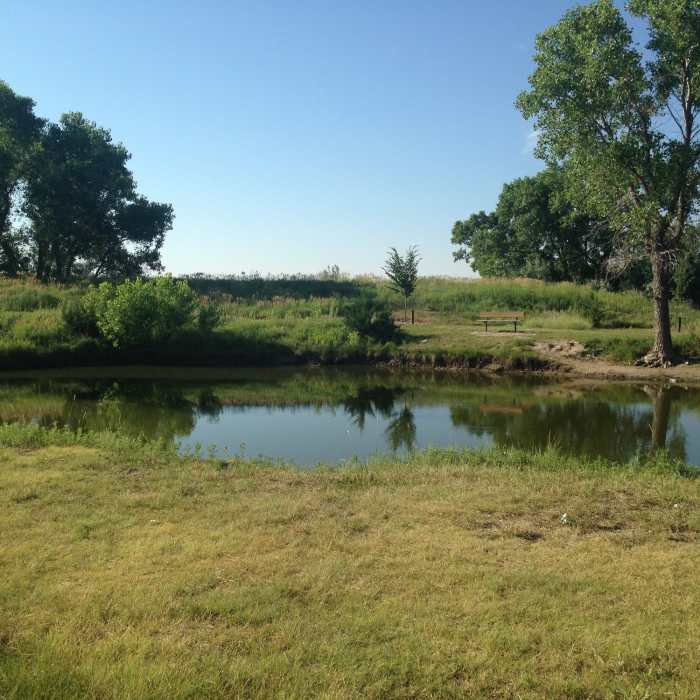 Near Vineyard Park Nature Trail