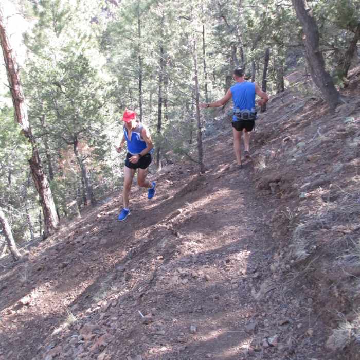 Near Dale Ball to Big T Campground