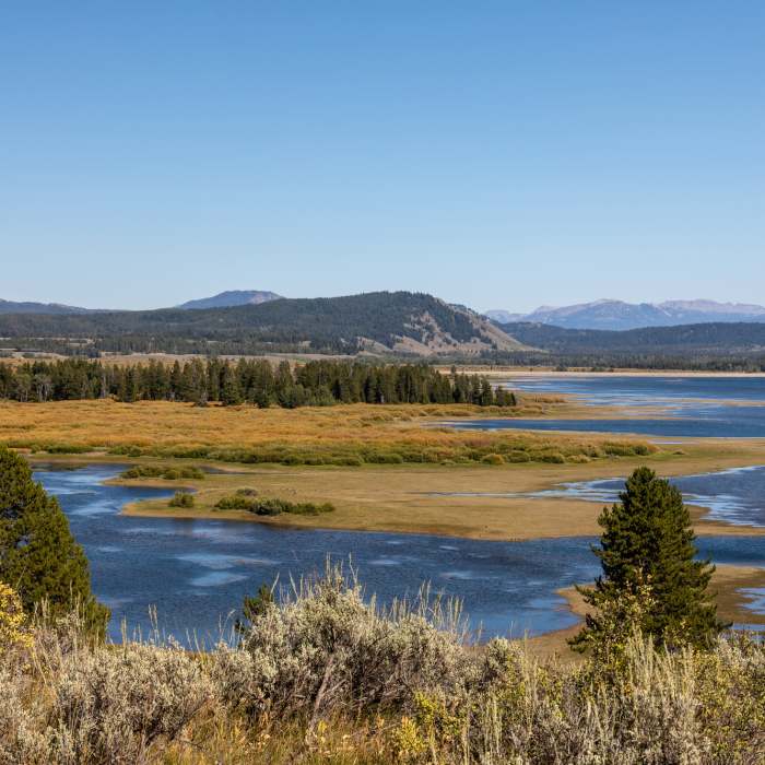Near Hermitage Point Trail