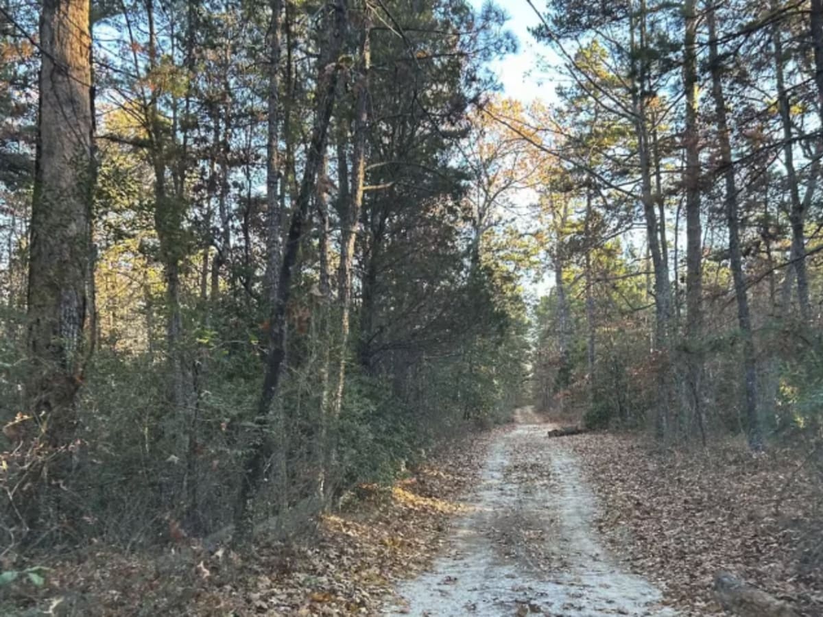 Battie Trail photo 3