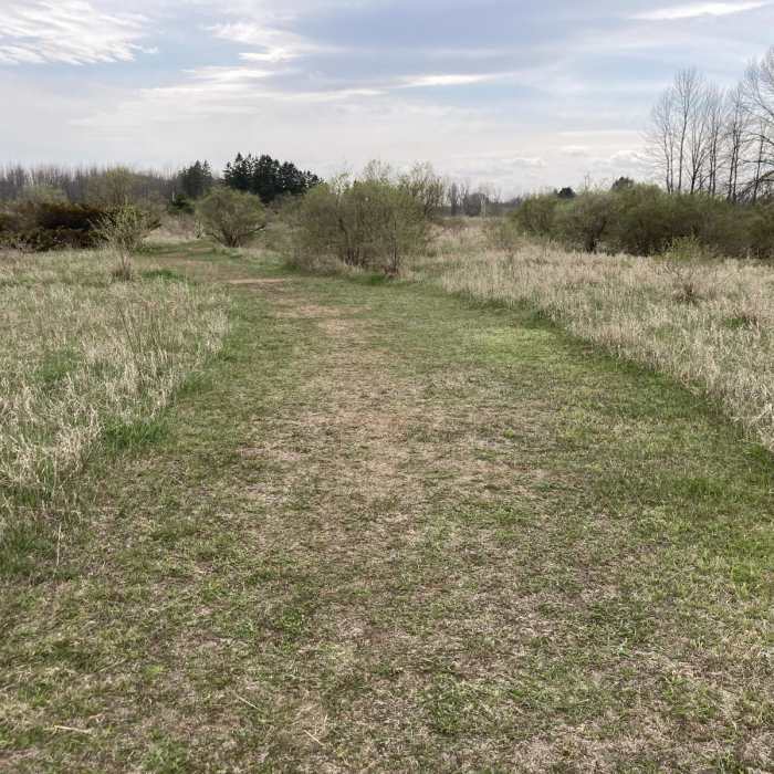 Near Ancient Shores Trail Near Ancient Shores Trail