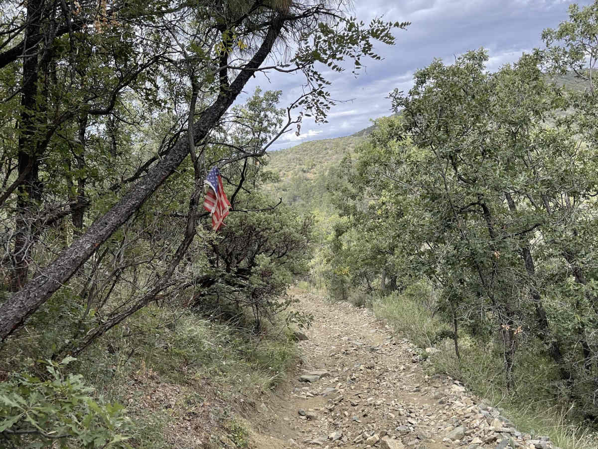 Upper Turkey Creek photo 6