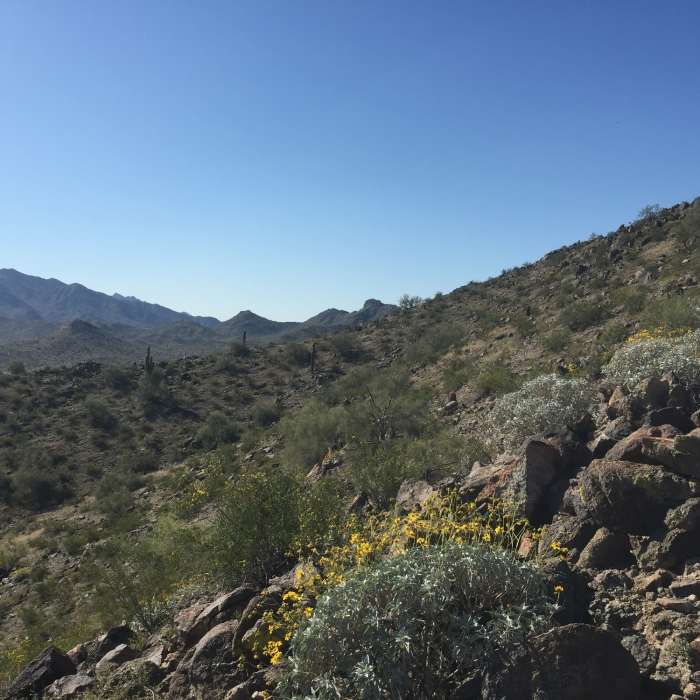 Near Baseline Trail