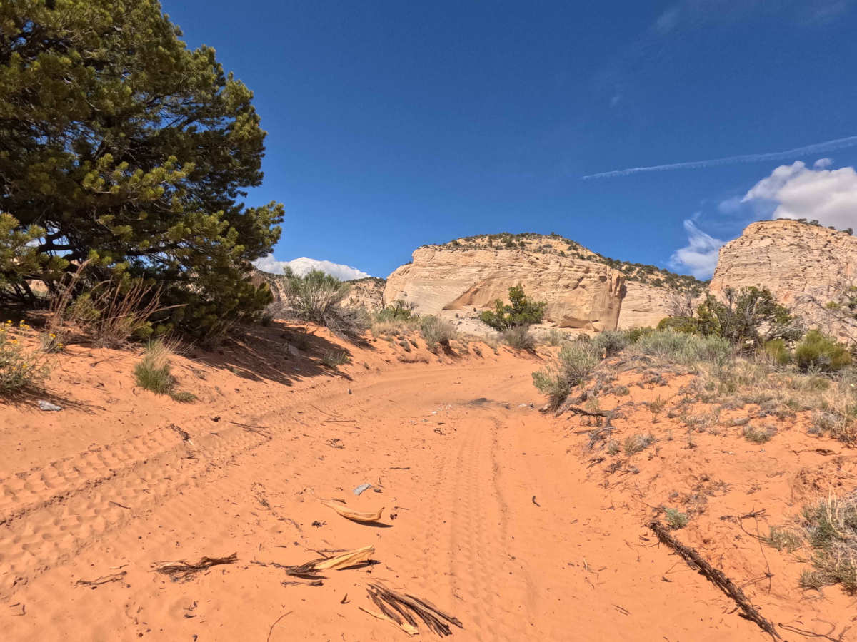BLM 103N photo 5