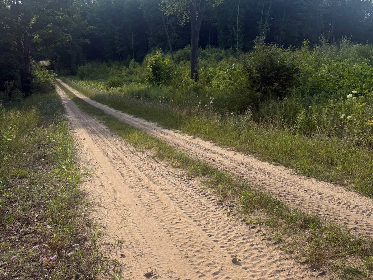10-1/2 Trail photo 5