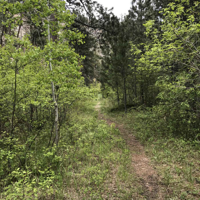 A narrow section of singletrack along the Hell Canyon trail looking south towards the trailhead. Near Hell Canyon Trail