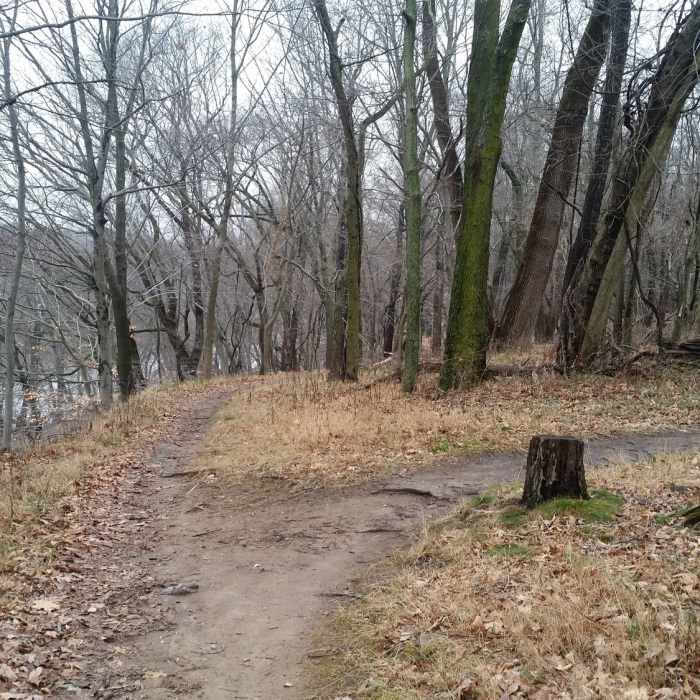 Near Chapel Trail