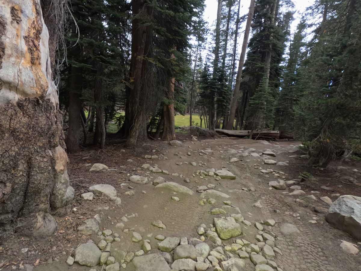 Strawberry Lake - FS 26E214 photo 6