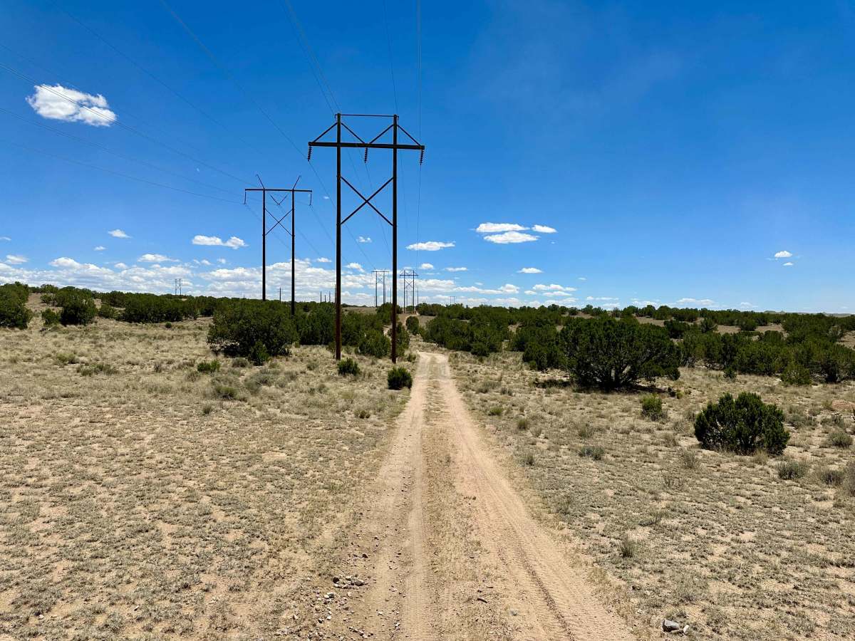 Dead Dog Trail Offshoot photo 4