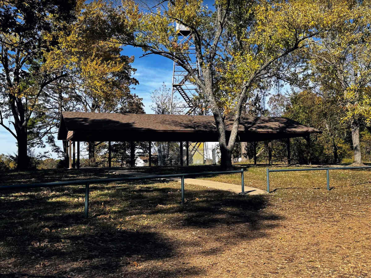 WMA Road 1245 photo 3