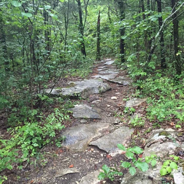 Near Devils Racetrack