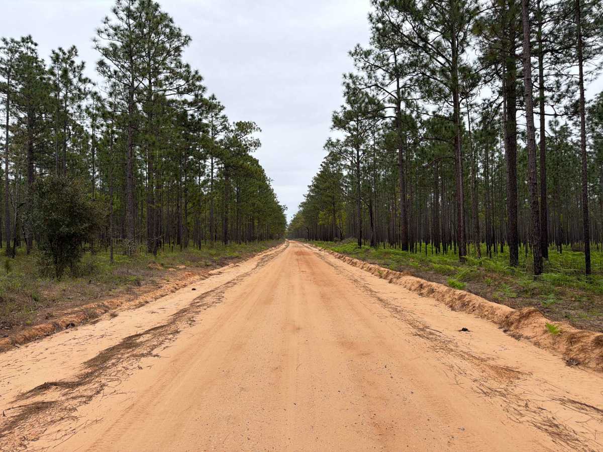 Cemetery Road photo 5