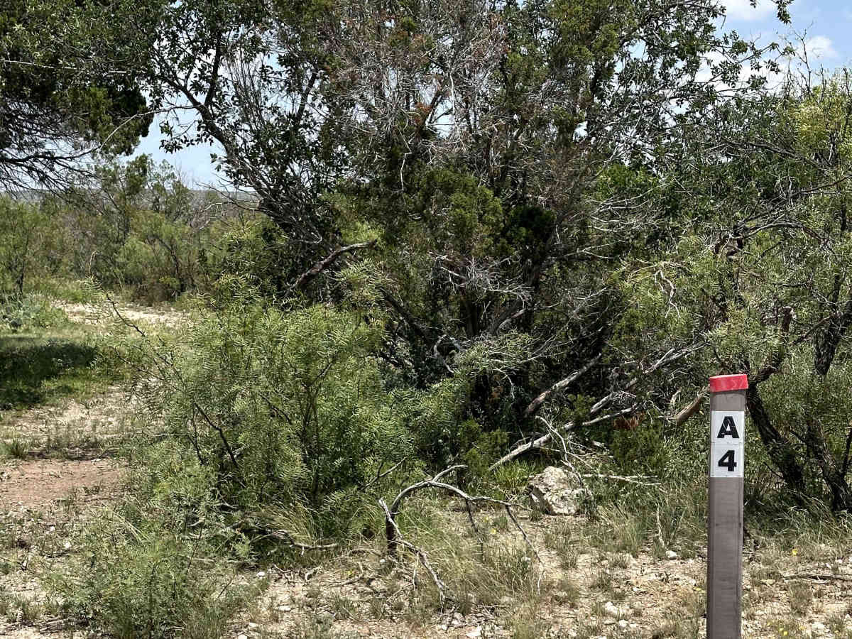 Green Lane - A4 trail photo