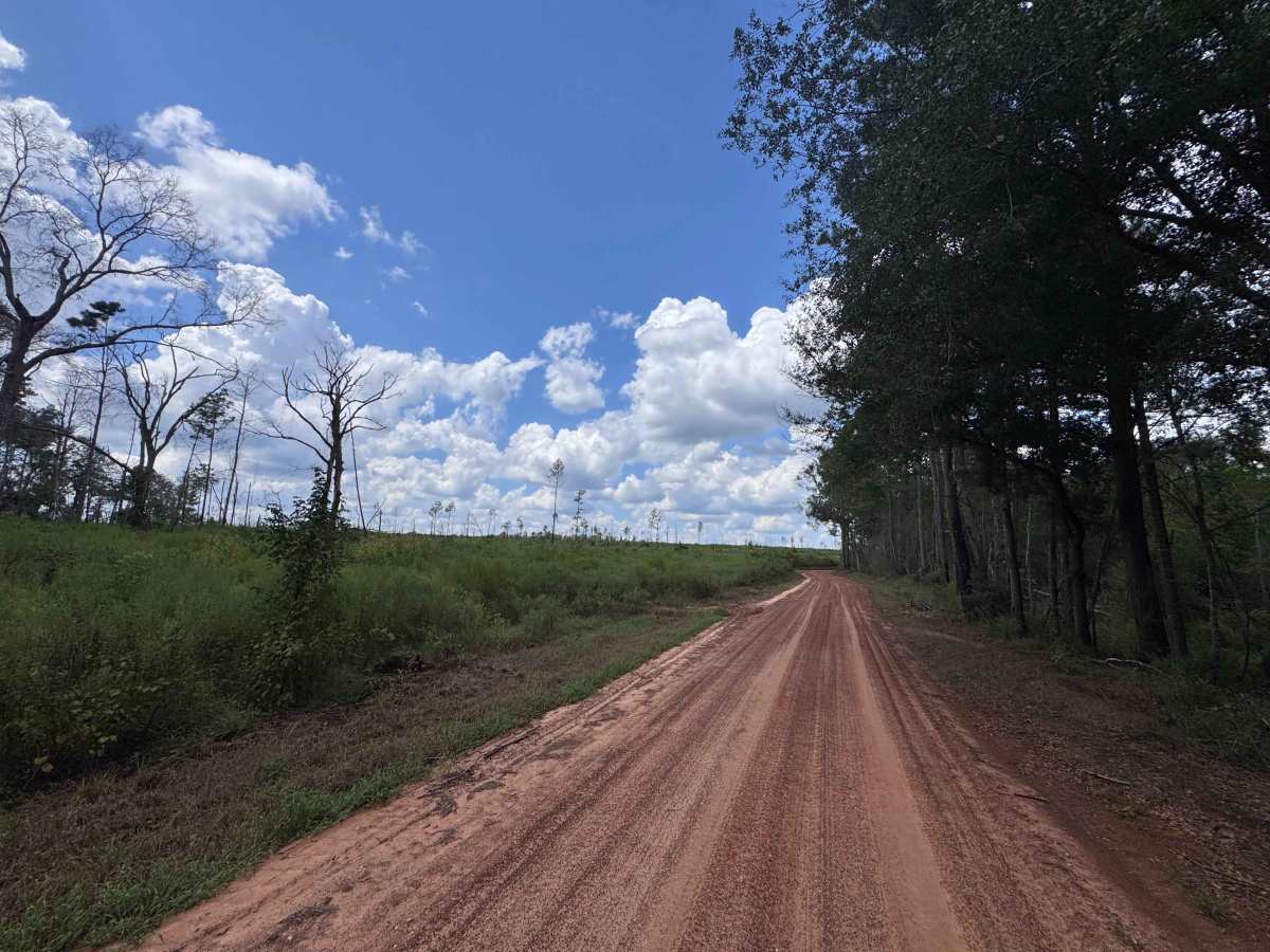 Alsobrooks Road photo 5