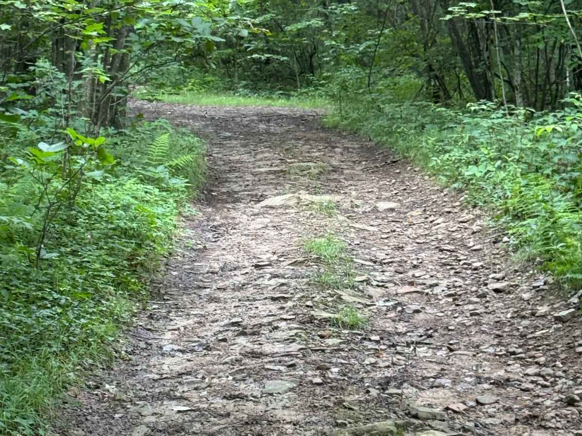 Trail 78 photo 4