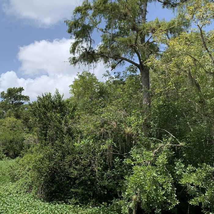 Near Kirby Storter Roadside Park