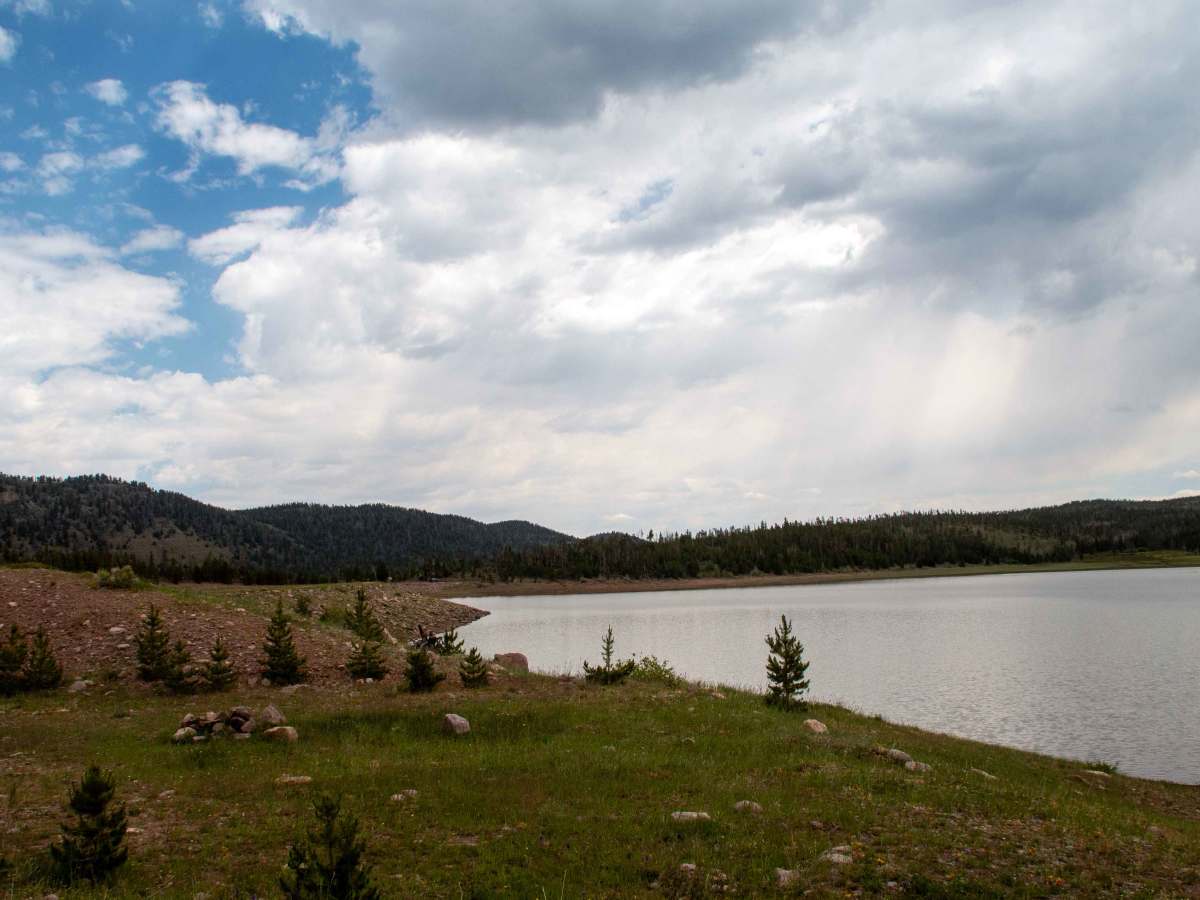 Beaver Meadows - FS 80086 photo 2