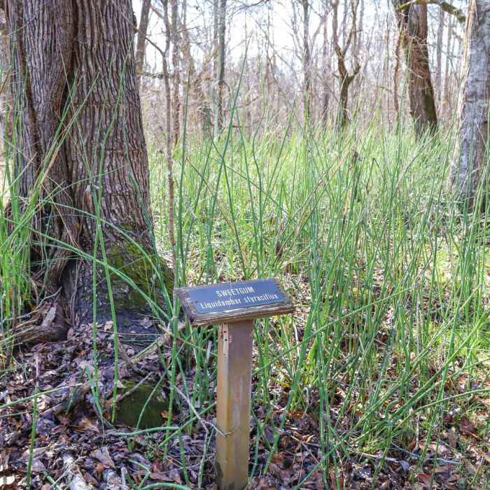 Near Indian Bayou Loop Near Indian Bayou Loop