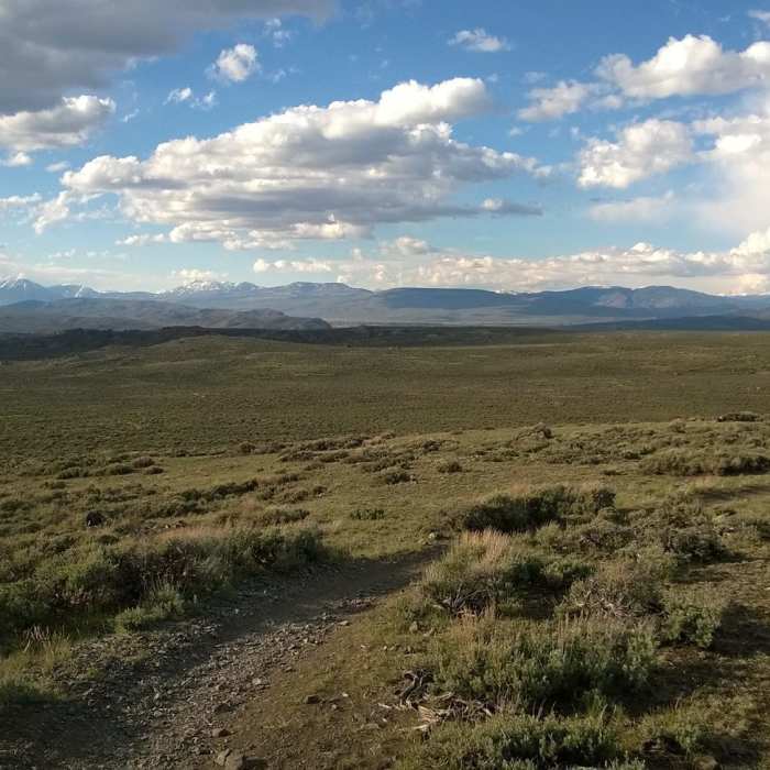 Near Josho's Trail