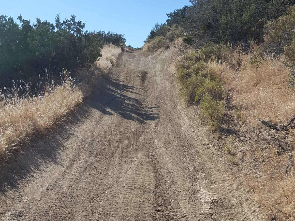 Trail 40 photo 6