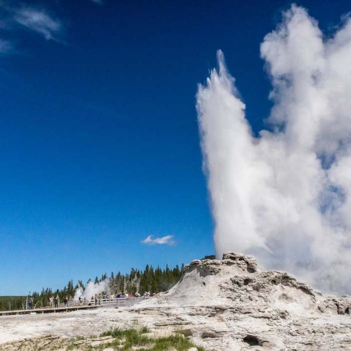 Near Upper Geyser Basin Trail Near Upper Geyser Basin Trail