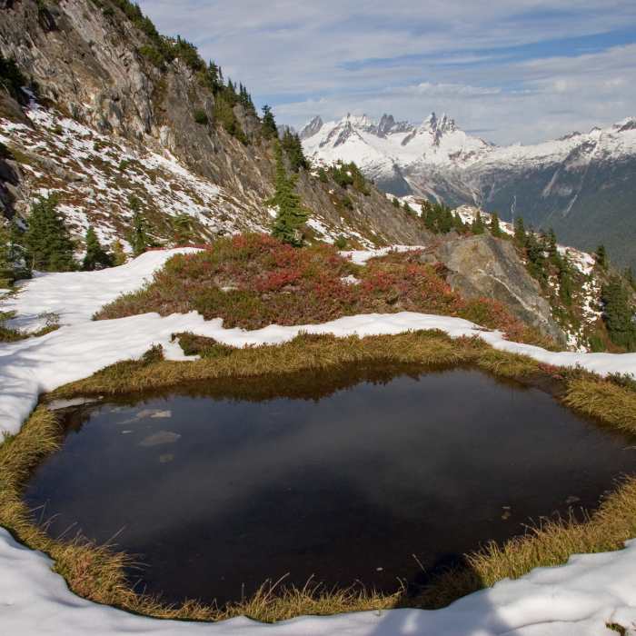 Near Trappers Peak