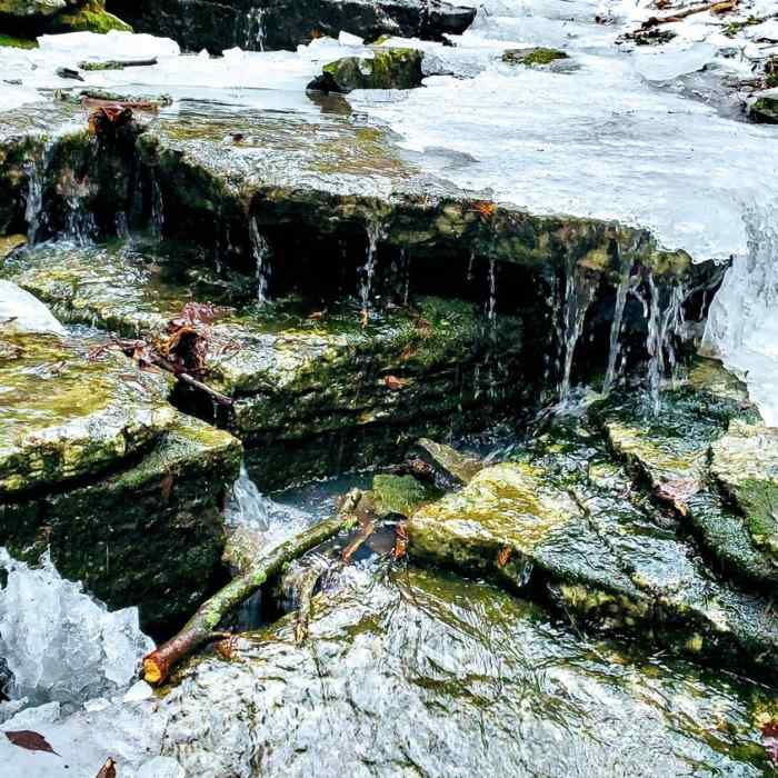 Near Parrott's Bay Loop