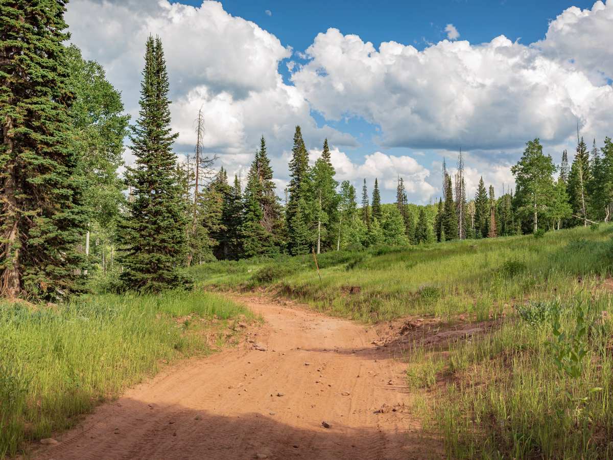 Clyde Creek - FR 70134 photo 5