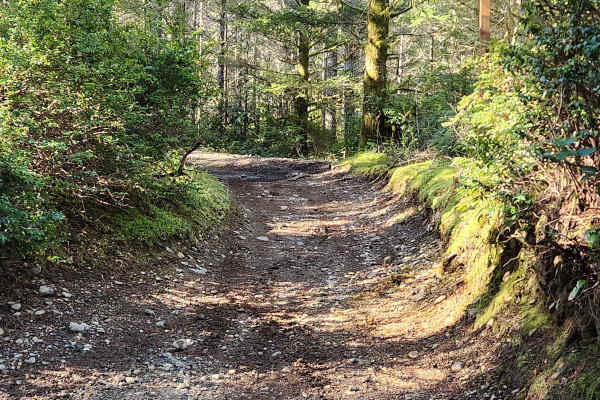 Loop Trail