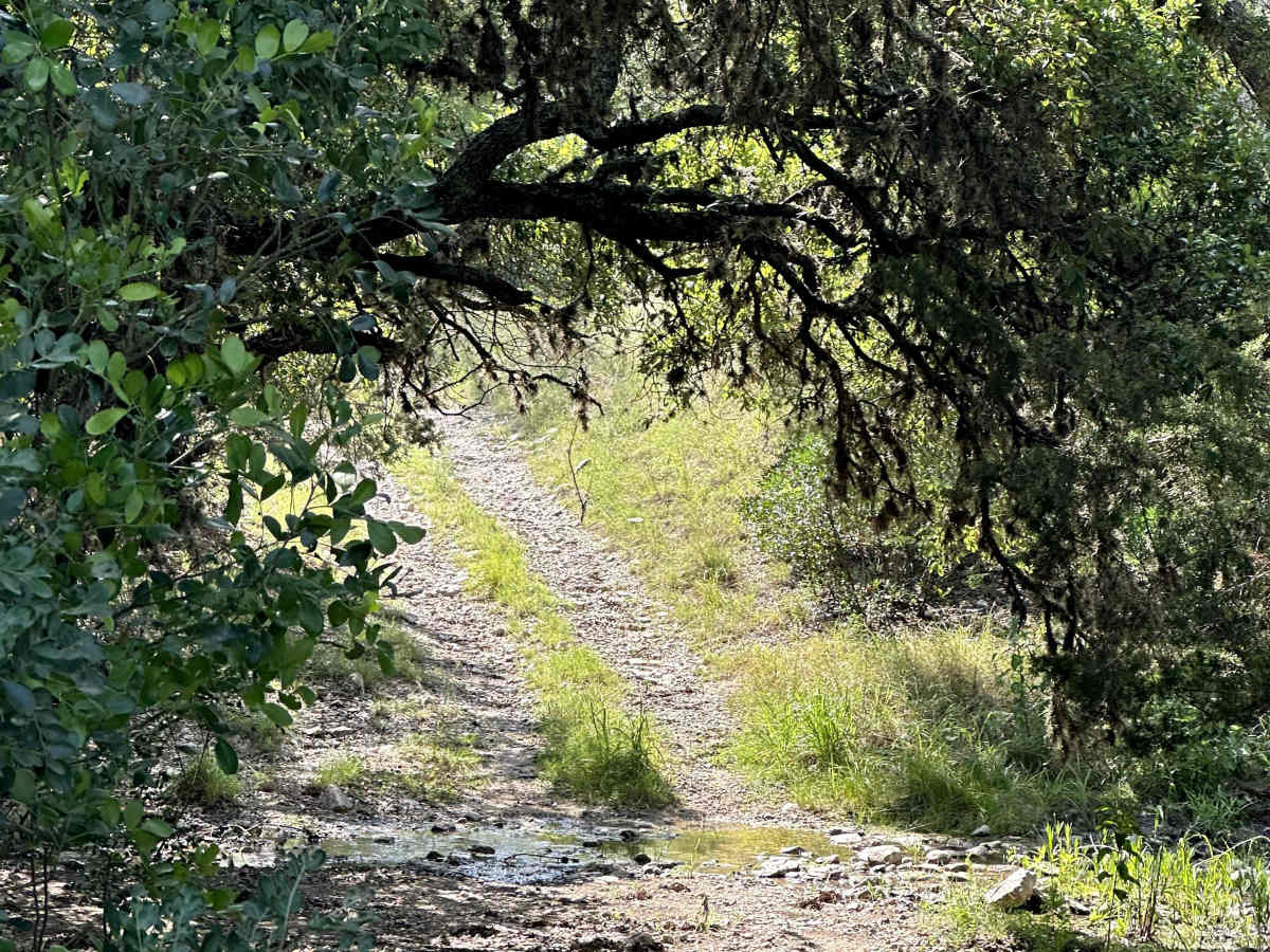 North Pasture Trail trail photo