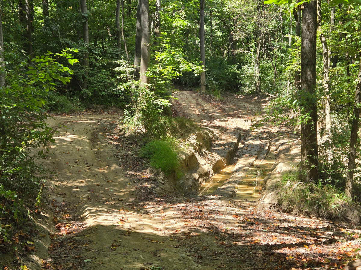 Trail 51 photo 4