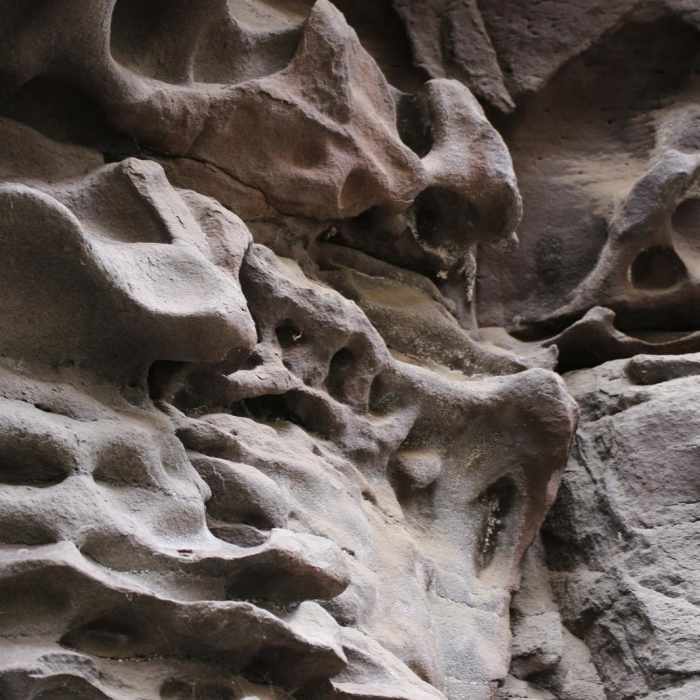 Near Crack In The Ground