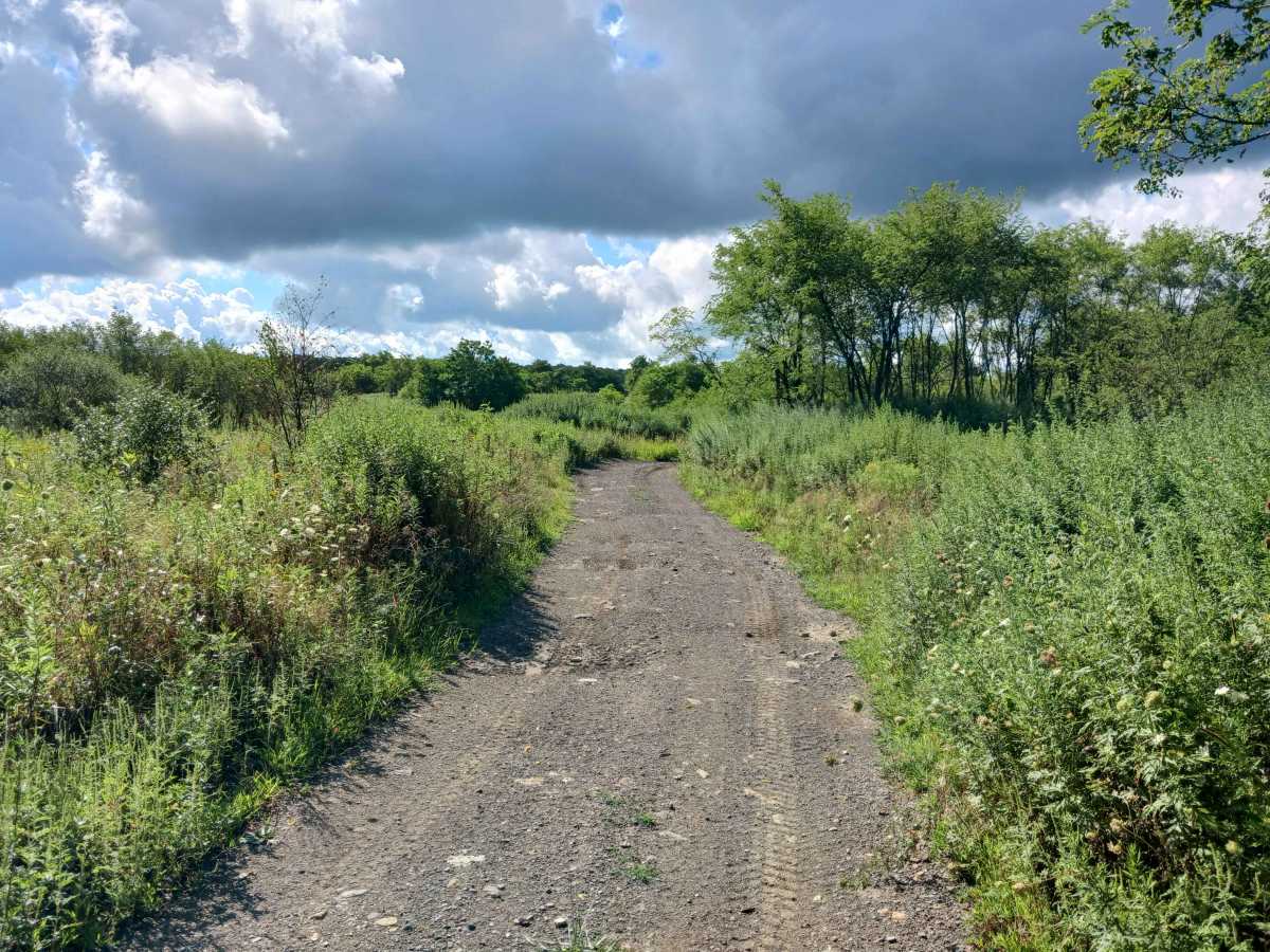 Pat's Flats - Rock Run Recreation Area photo 6