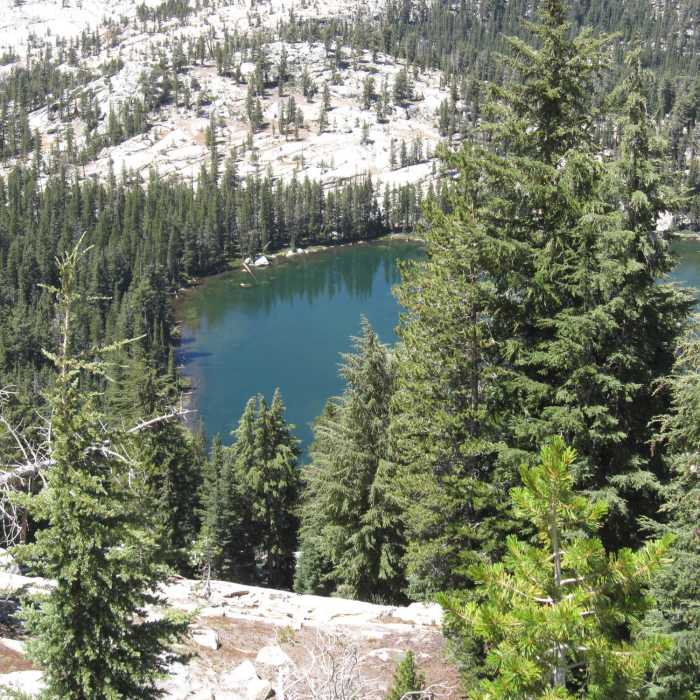 One of the larger Polly Dome Lakes from above (photo by Richard Thomas) Near Murphy Creek Trail