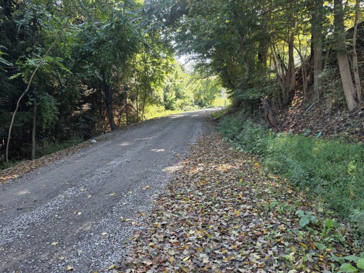 Halstead Hill Road photo 6