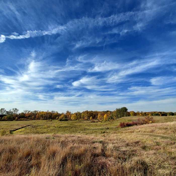 More big blue sky. Near Wide Sky Trail