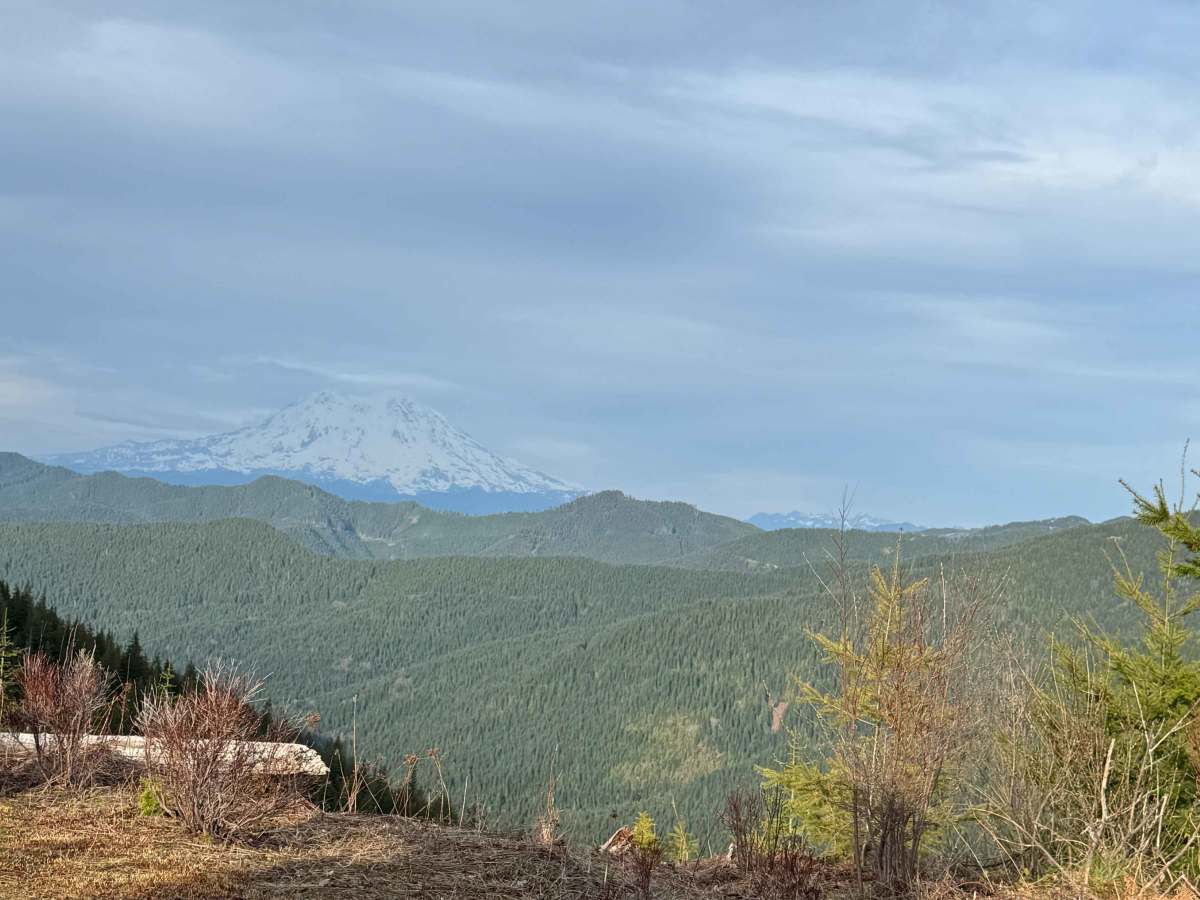 North Fork Tilton Road - FS 7300 photo 5