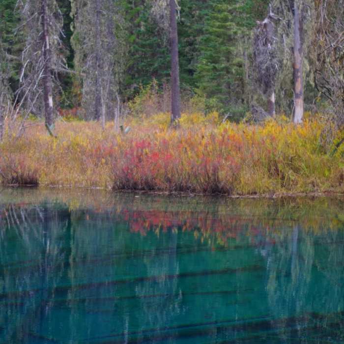 Near Little Crater Lake Trail #500