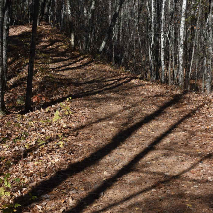 Near Hiking Club Trail Near Hiking Club Trail