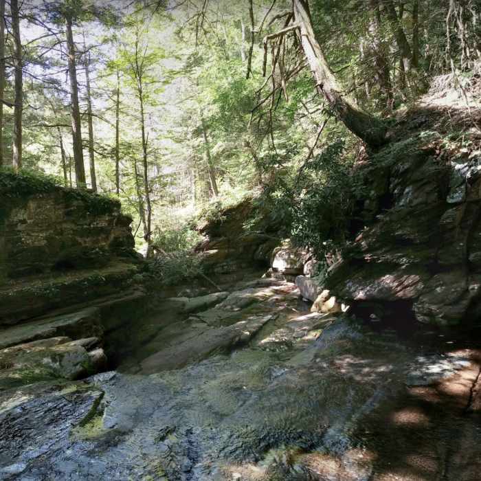 Near Van Campens Glen Trail