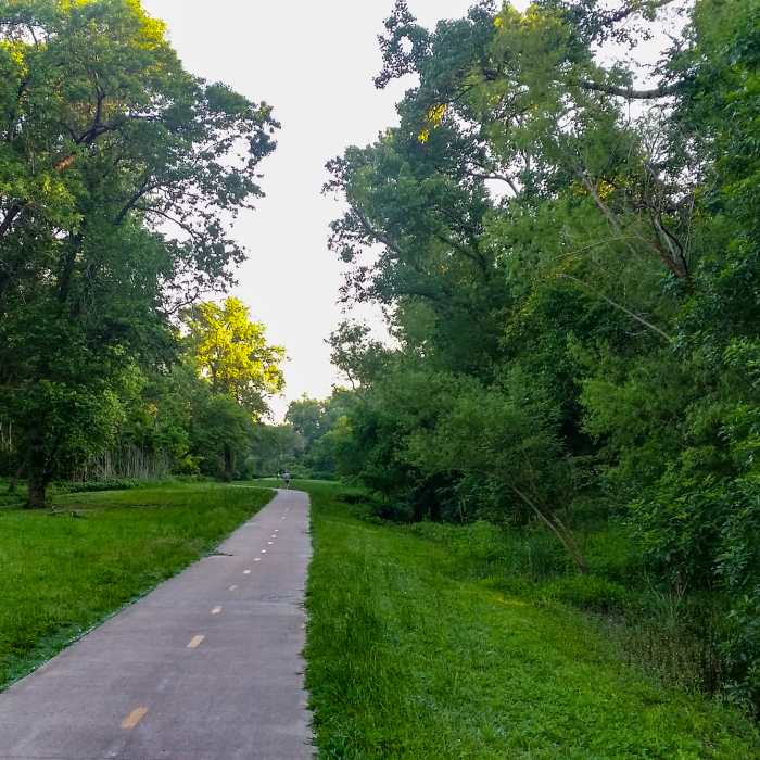 Near White Rock Creek Trail
