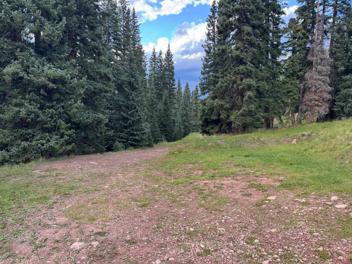 Roaring Fork Road trail photo