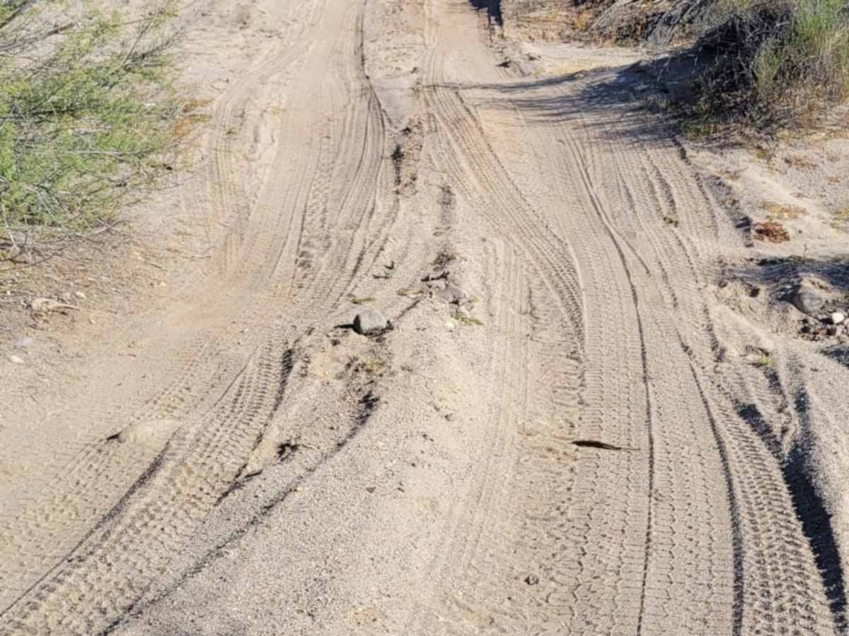 Bahia de las Animas trail photo