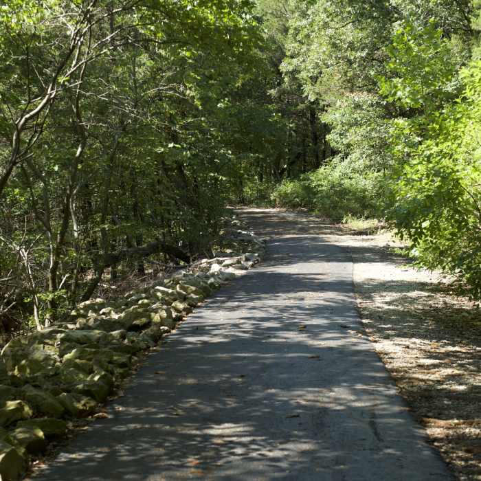 Near Table Rock Lakeshore Trail