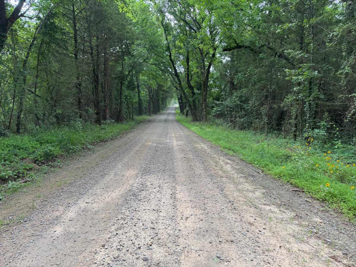 County Road 3550 photo 3