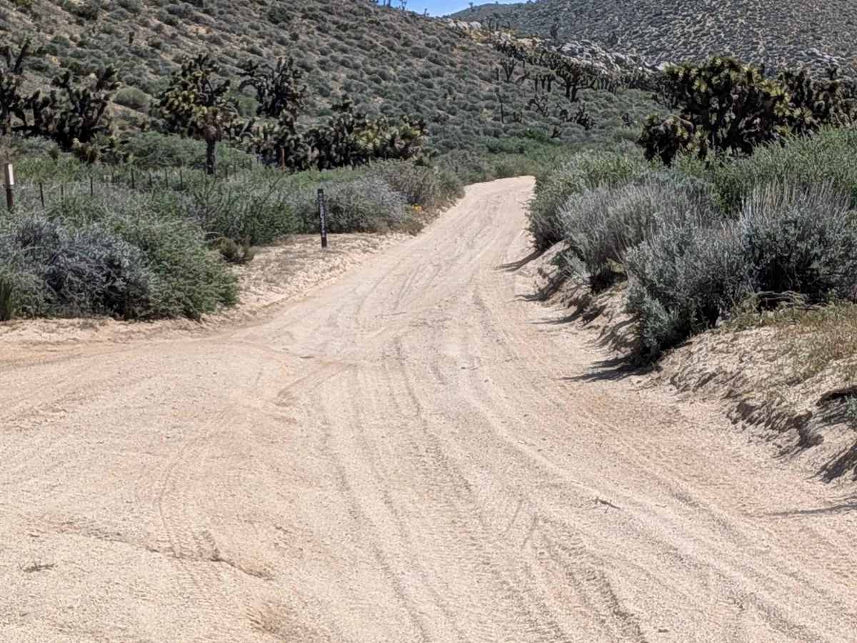 Frog Creek Road SC47 trail photo