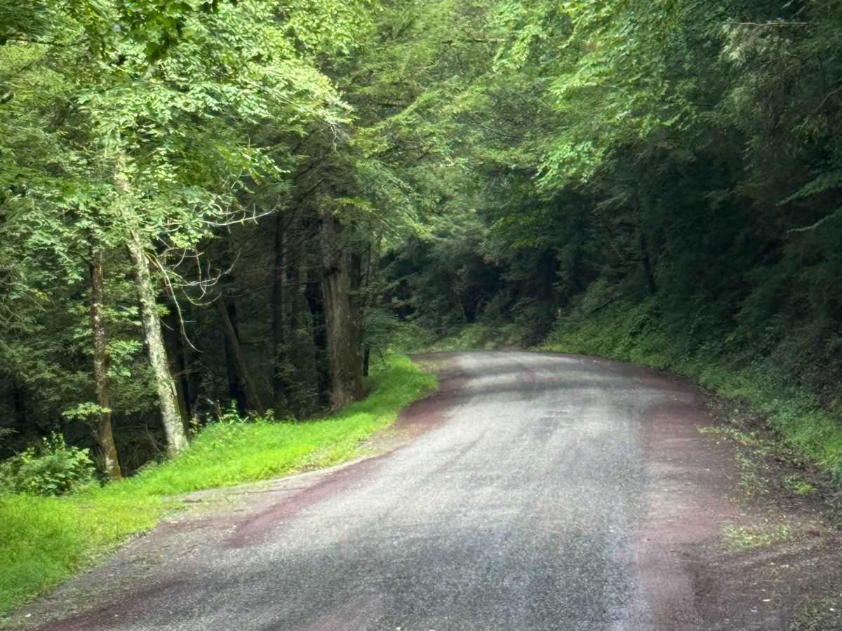 Roaring Run Road photo 3