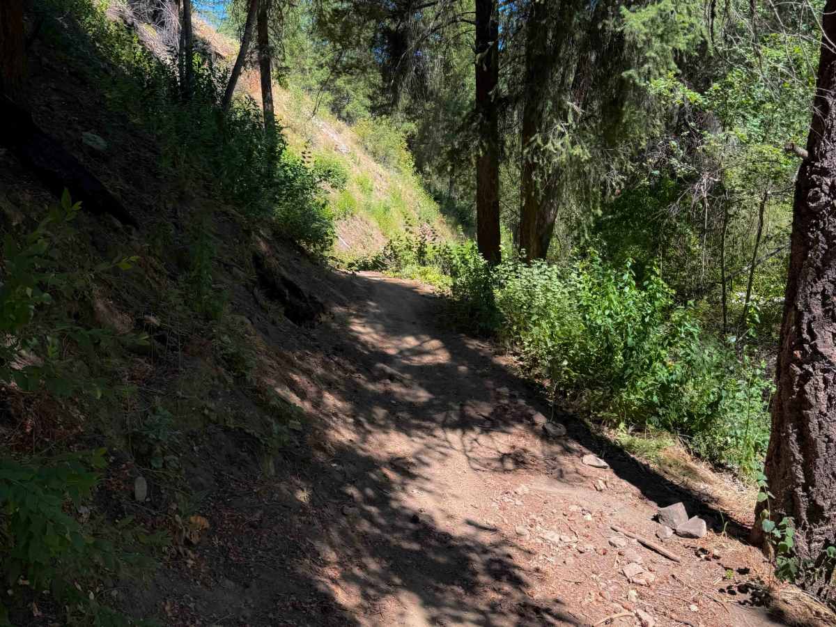 Red Devil Trail #1221 photo 4